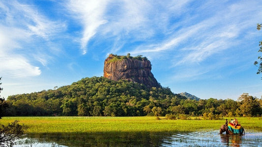 Escape to Paradise (11 Days)