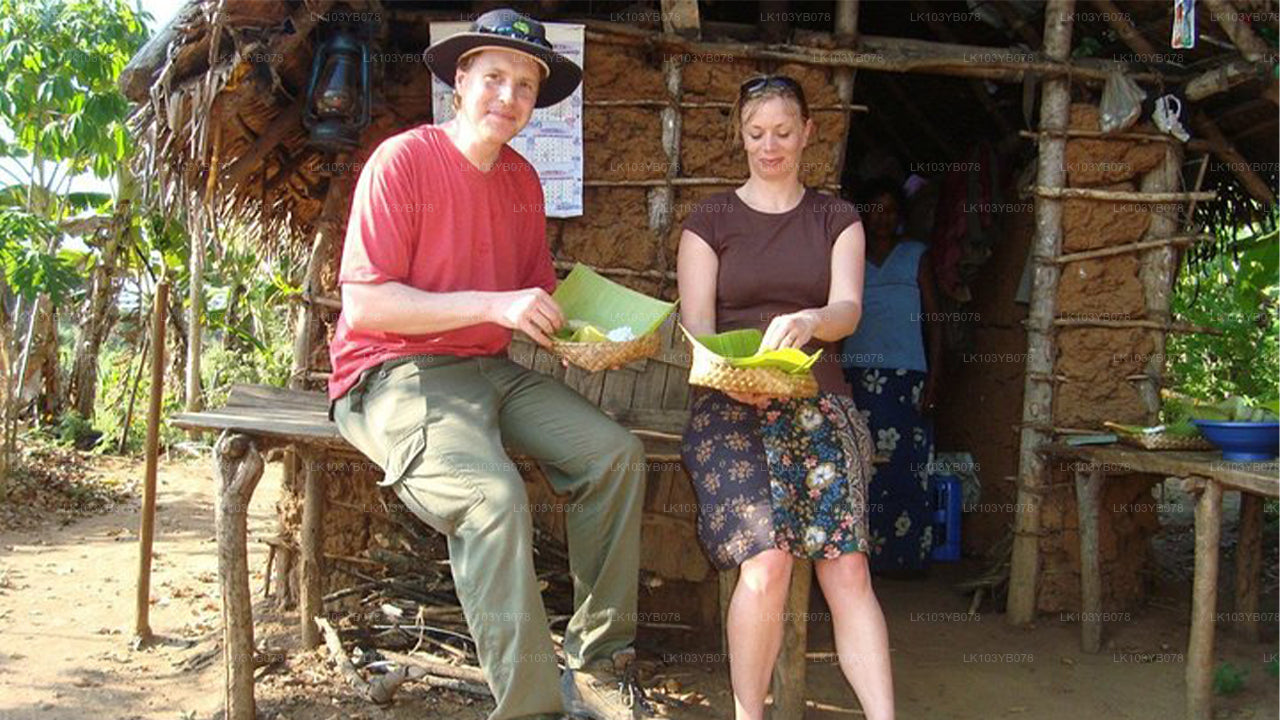 Country and Rural Tour of Sri Lanka (4 Days)