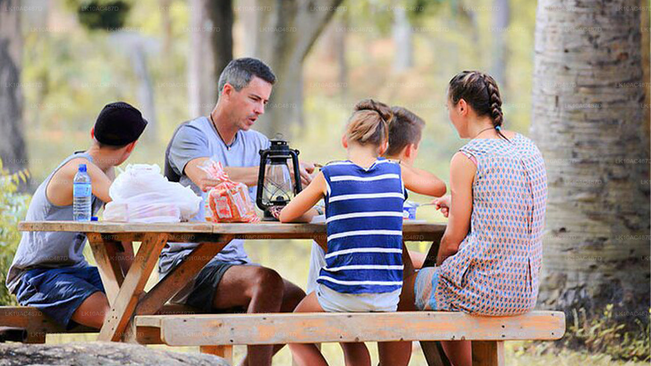 Circuit durable (10 jours)