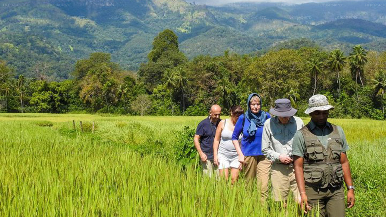 Circuit durable (10 jours)