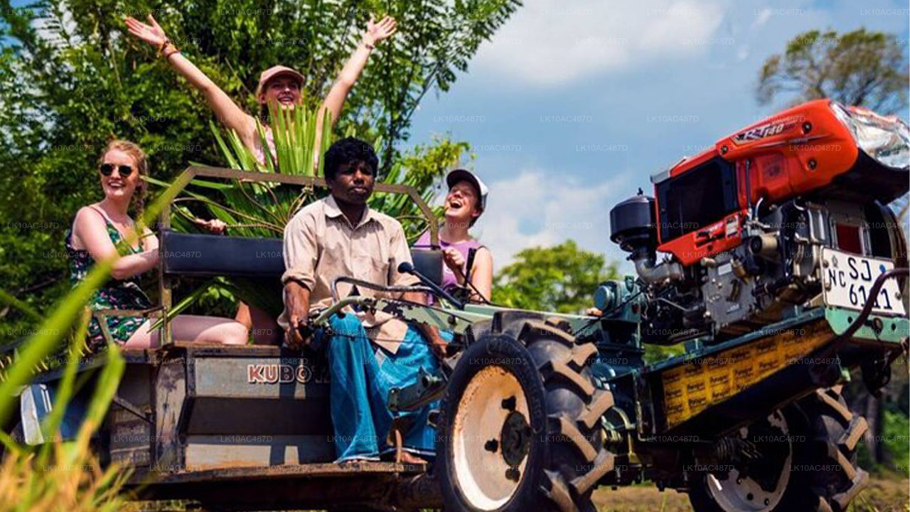 Circuit durable (10 jours)