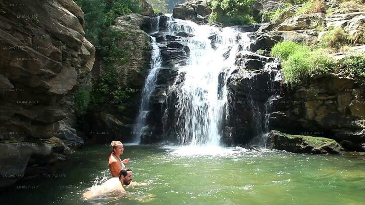 Circuit durable (10 jours)