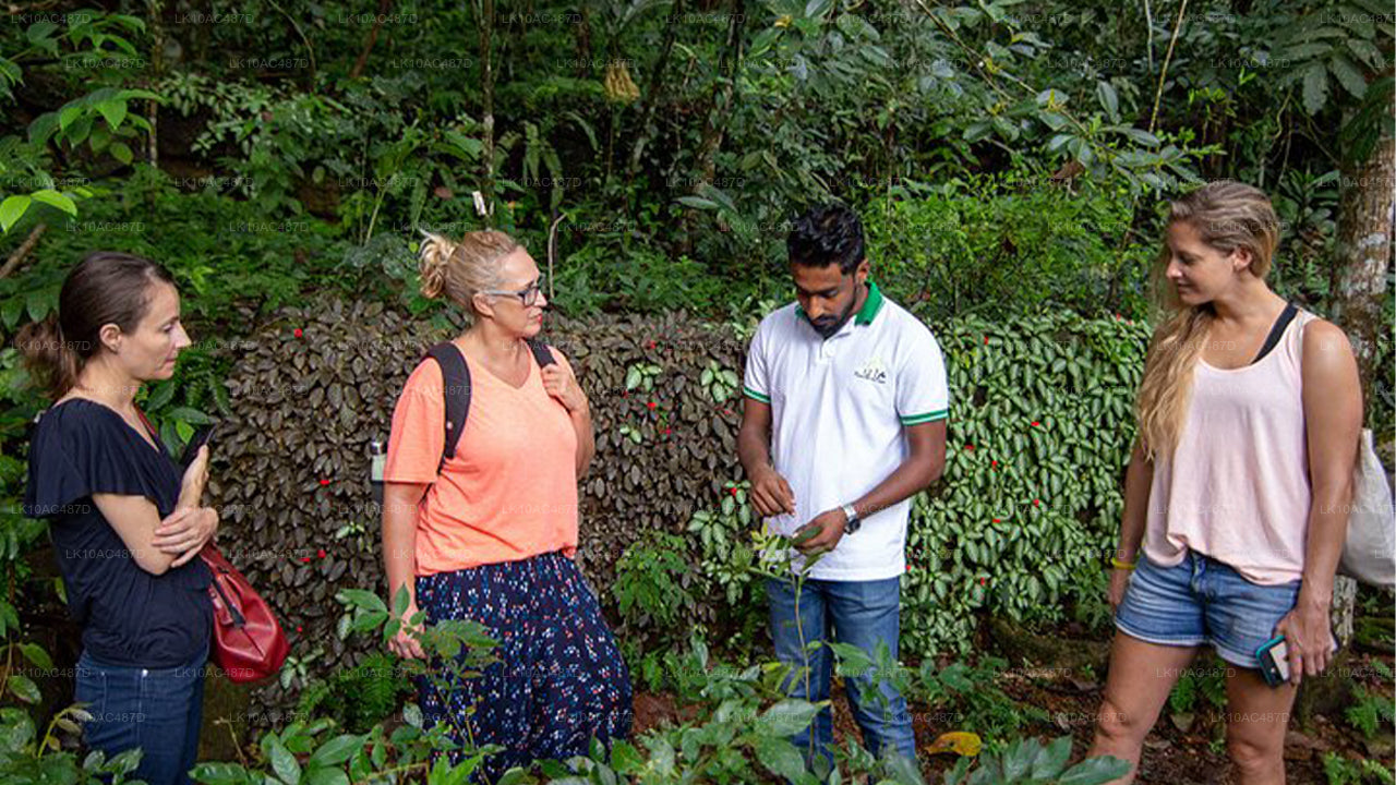 Circuit durable (10 jours)