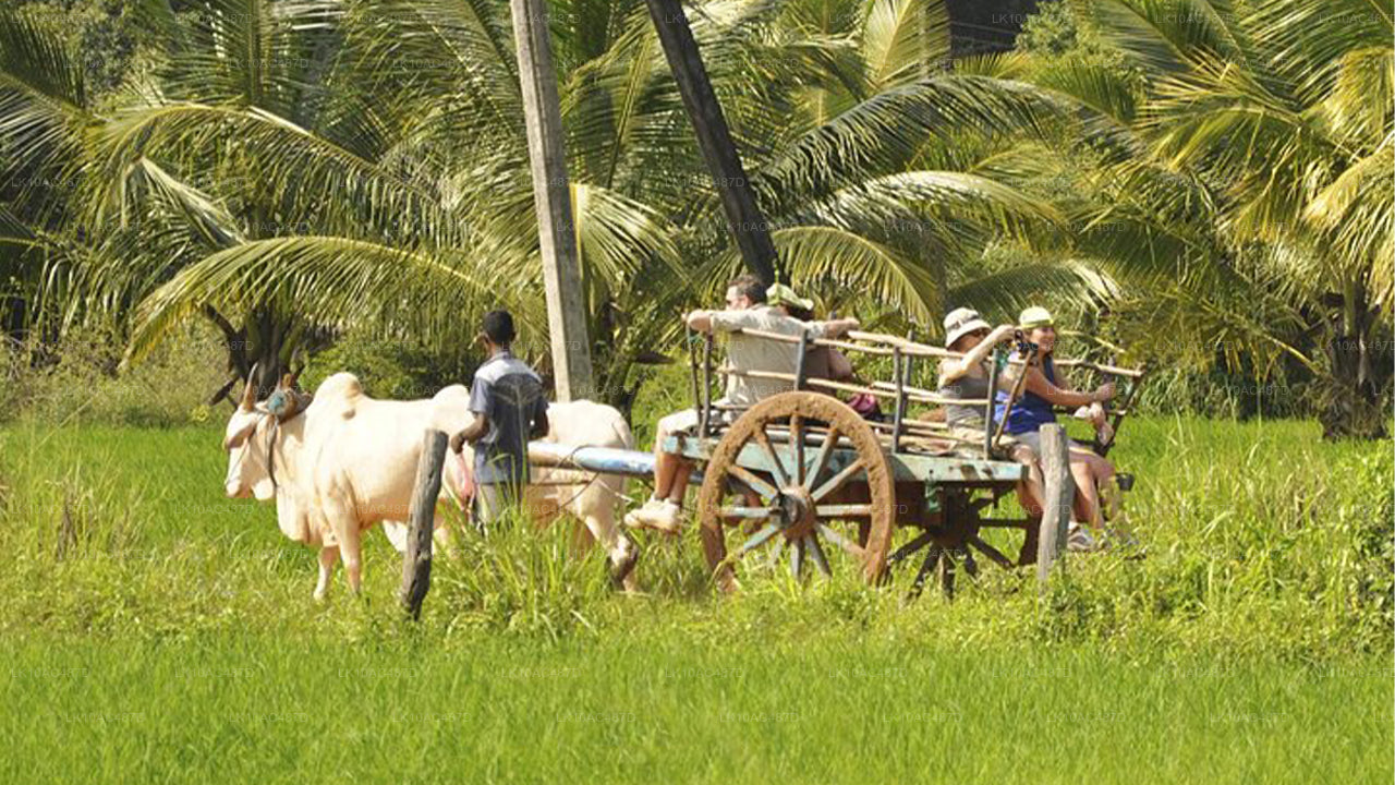 Circuit durable (10 jours)