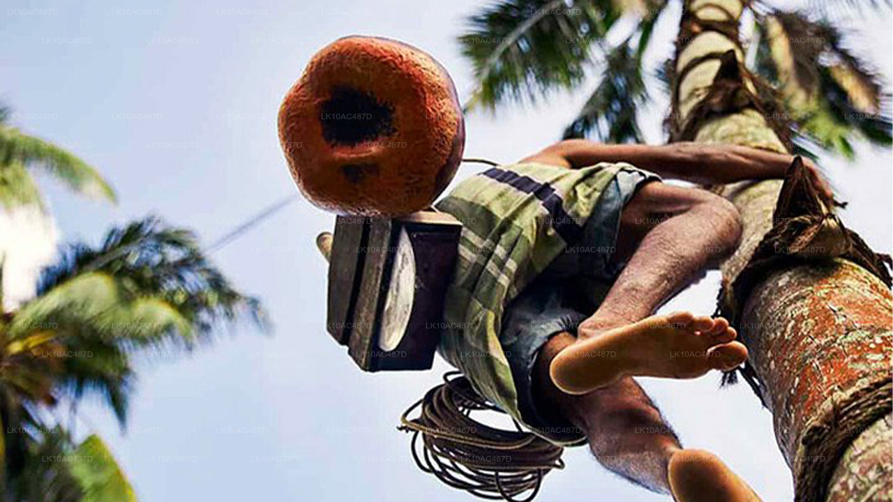 Circuit durable (10 jours)