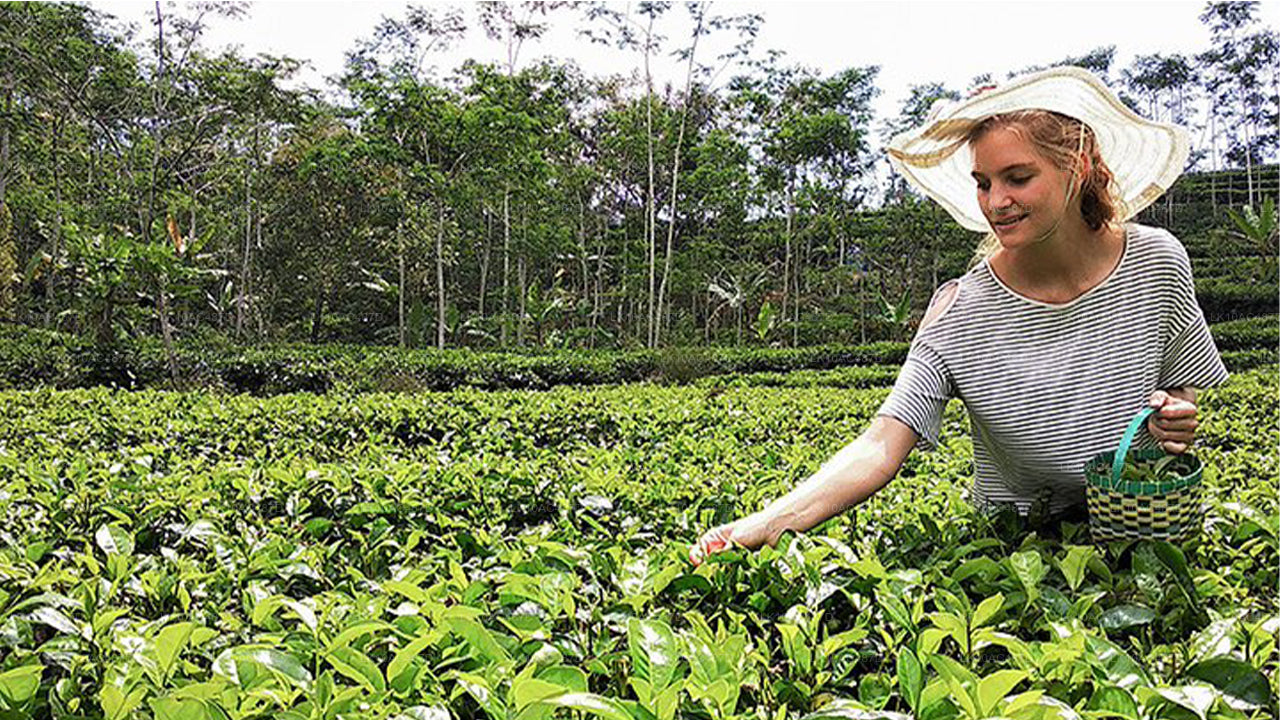 Circuit durable (10 jours)