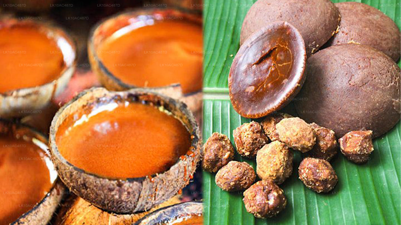 Circuit durable (10 jours)