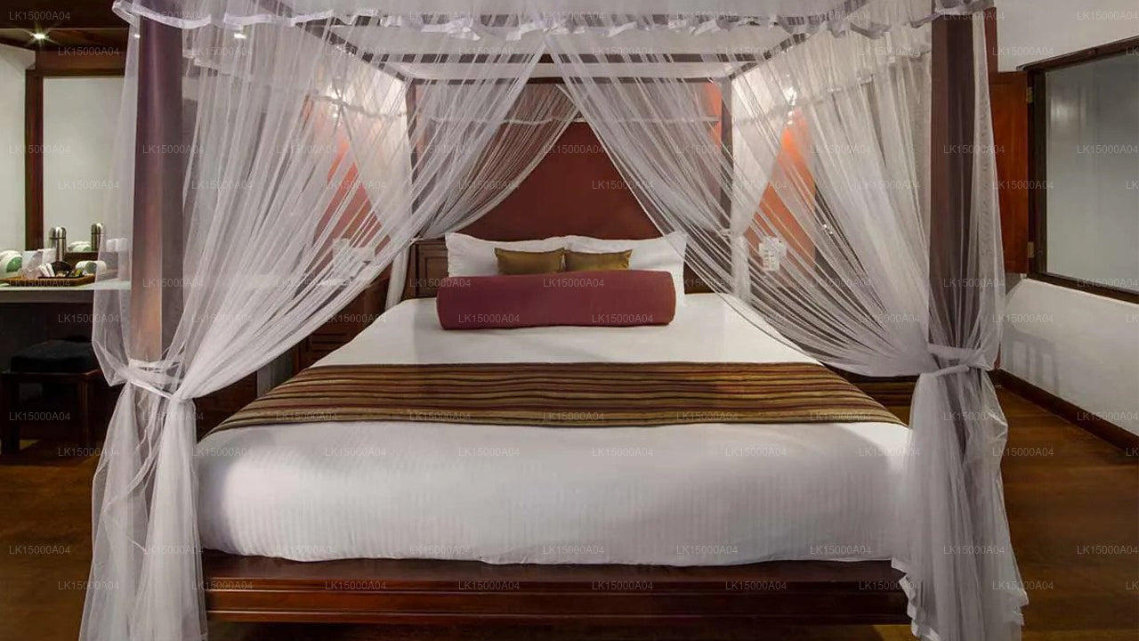 Tangerine Beach Hotel, Beruwala