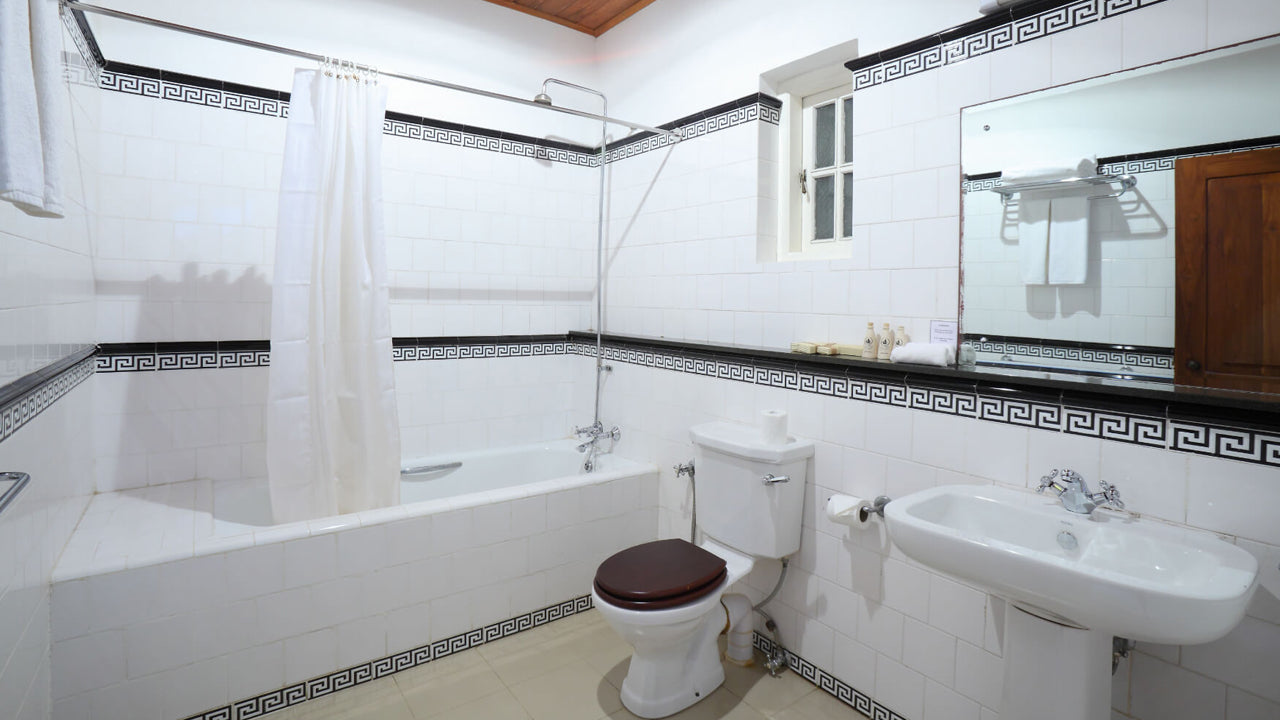 Le sanctuaire de Tissawewa, Anurâdhapura