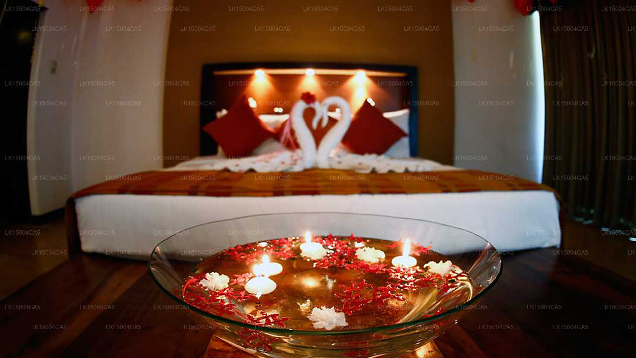 Hôtel Pegasus Reef, Wattala