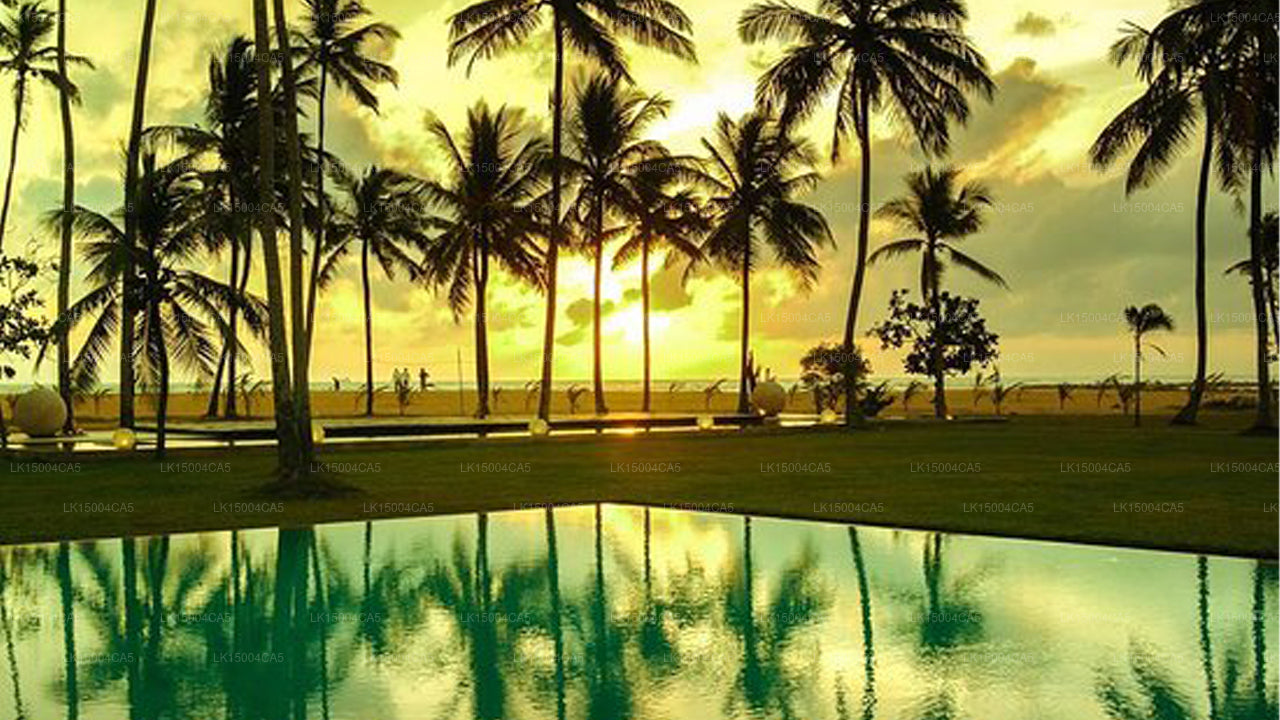 Hôtel Pegasus Reef, Wattala