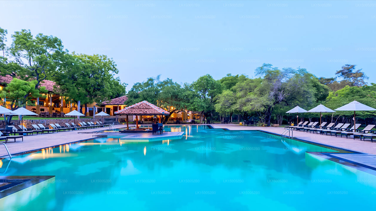 Amaya Lake, Dambulla