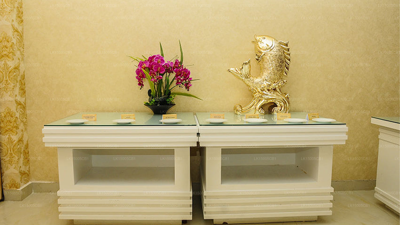 Panorama Hôtel, Kalutara