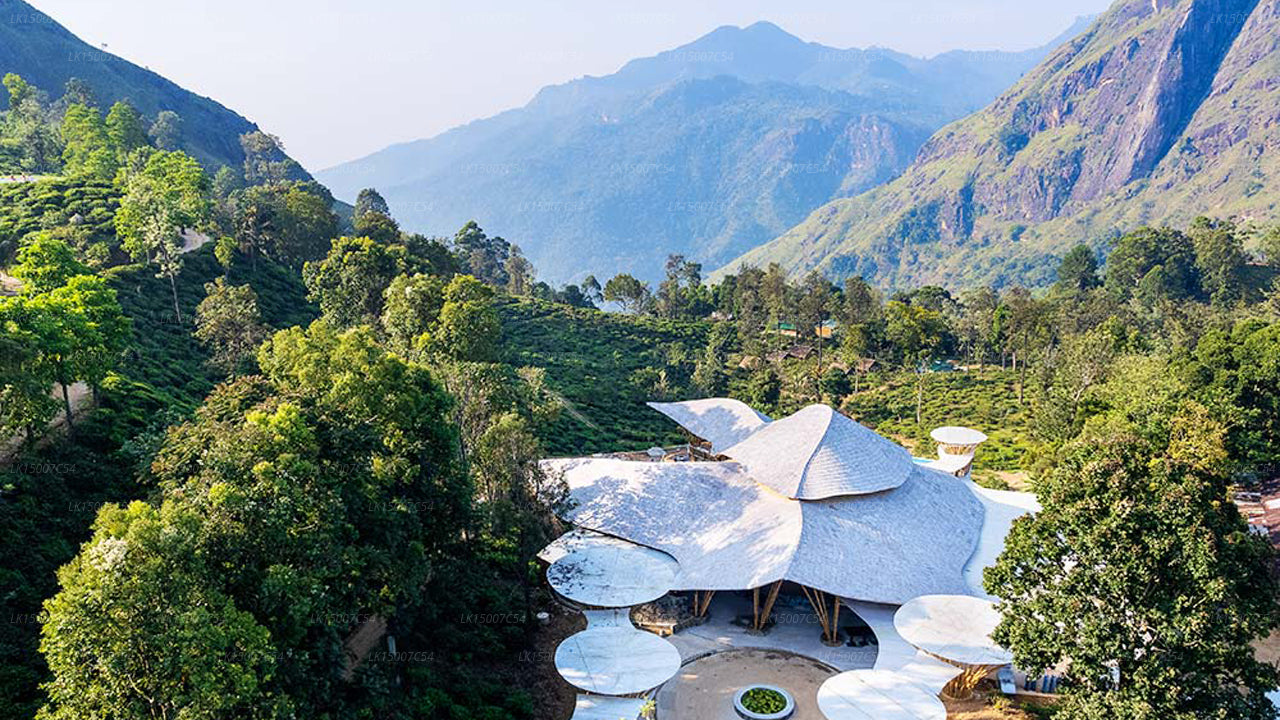 Aerial view of a luxury eco-resort with a unique curved roof, nestled in lush green mountains and tea plantations, surrounded by scenic highland landscapes.