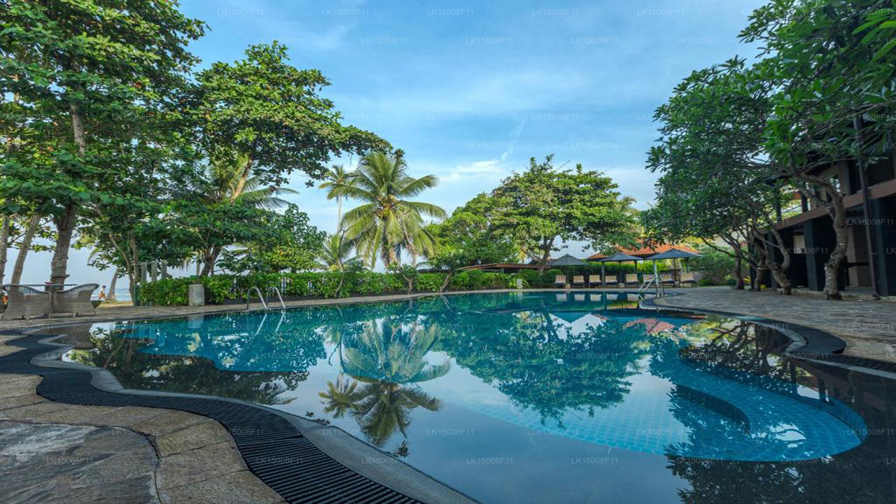 Earl's Reef, Beruwala