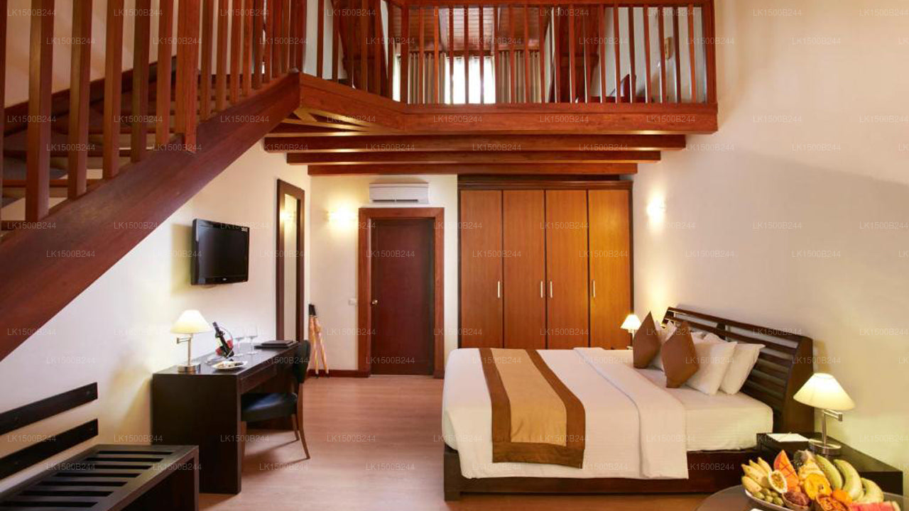 Occidental Paradise, Dambulla