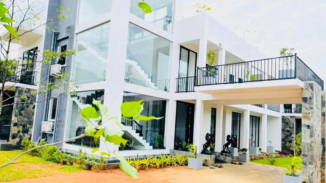 Hôtel Black Mustang, Dambulla