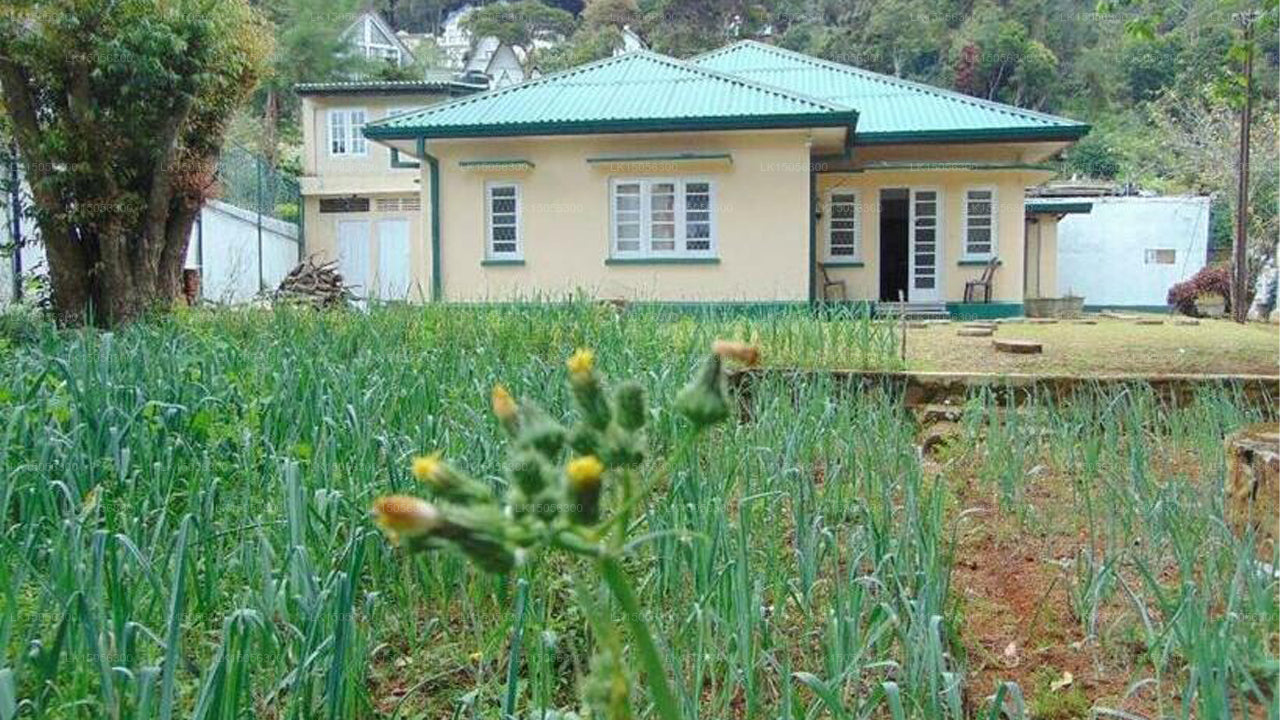 Penninton, Nuwara Eliya