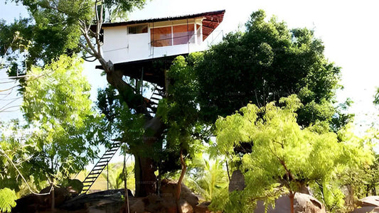 Tamarind Shade Holiday Bungalow, Yala