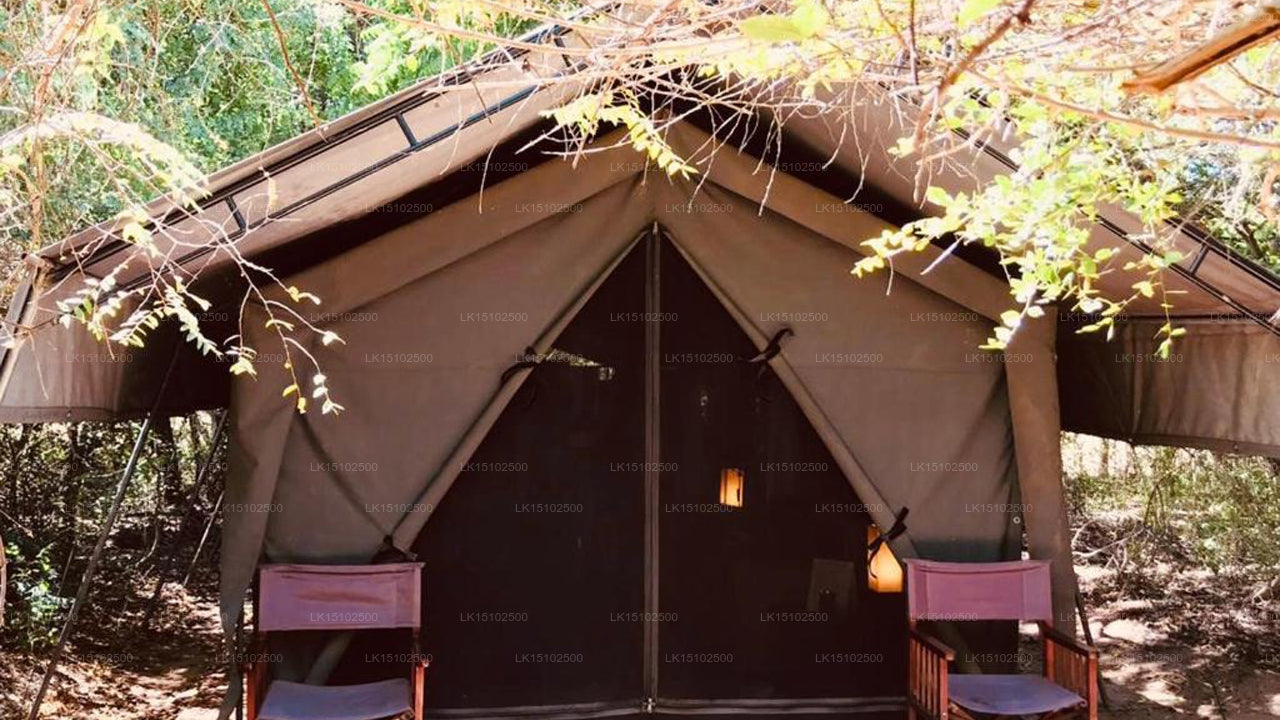 Mahoora Safari Camping, Wilpattu