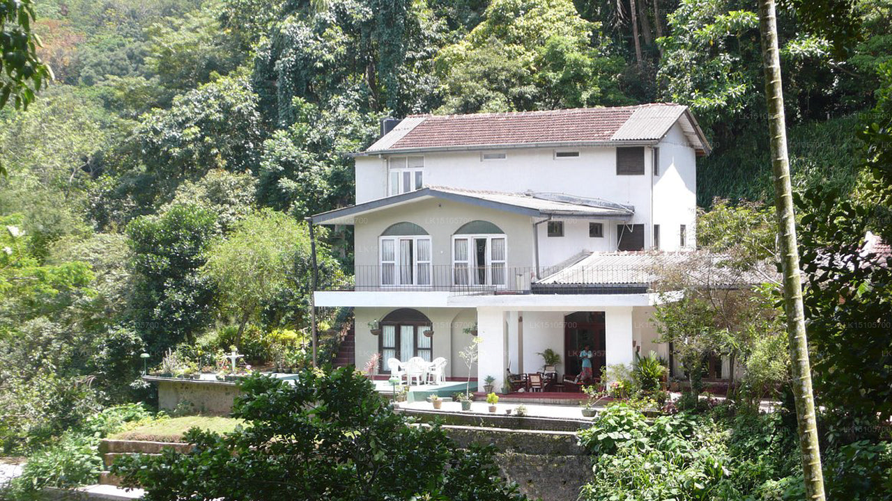 Forest Glen, Kandy
