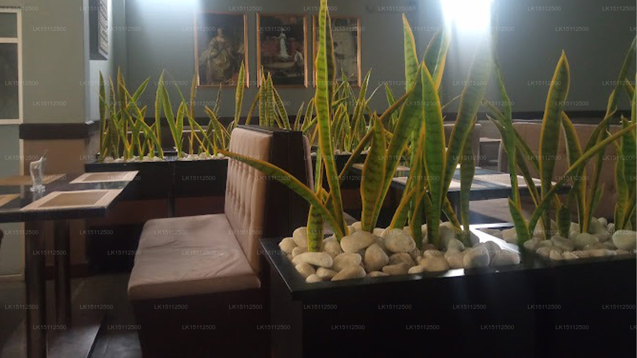 Letona Colonial Cafe, Gampaha