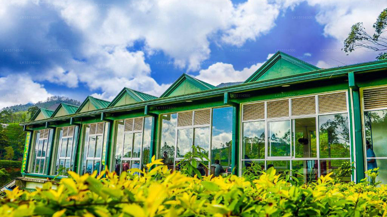 Punsisi Rest, Hatton