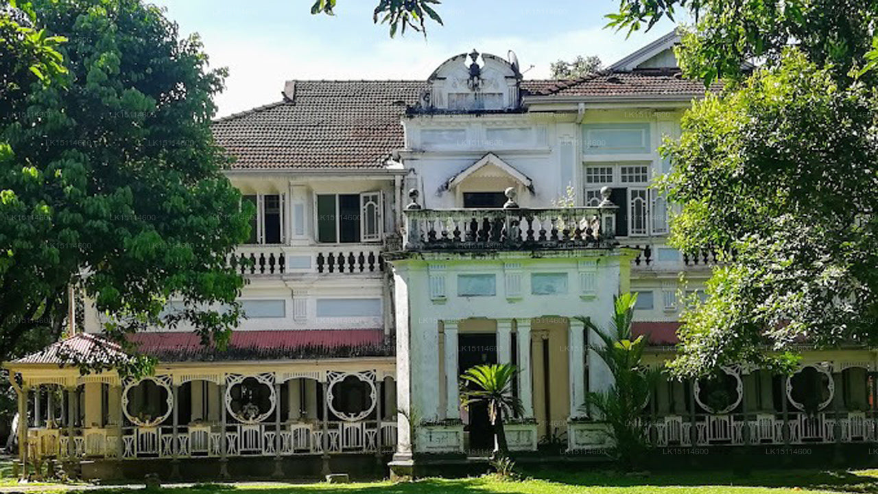 Rafters Retreat, Kitulgala