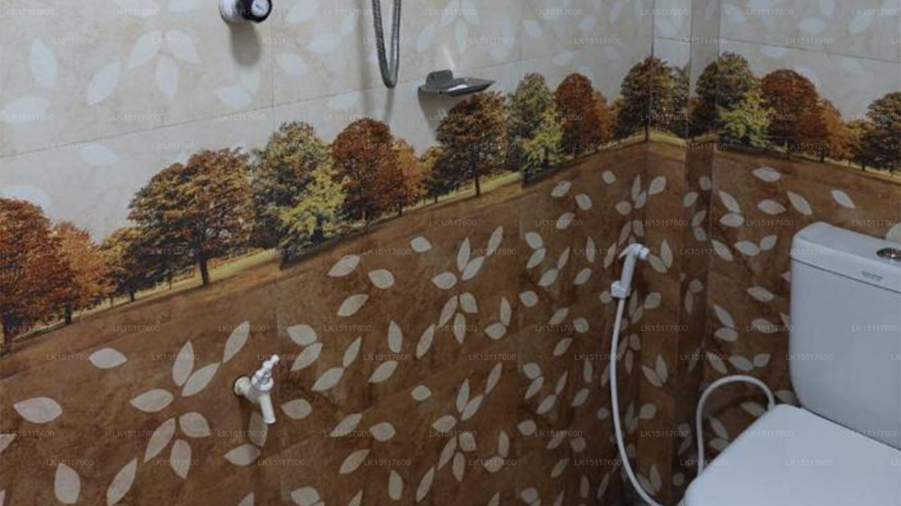 The Binthenna, Mahiyanganaya