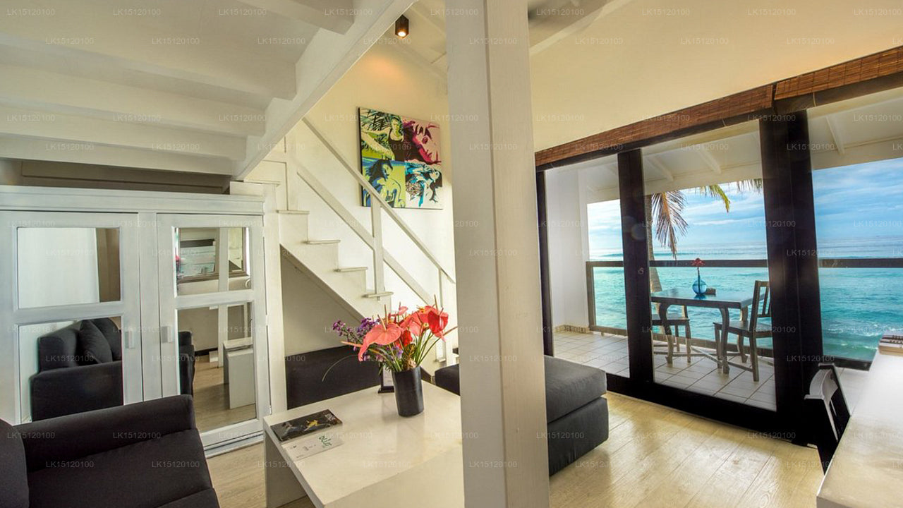 Cantaloupe Aqua, Thalpe