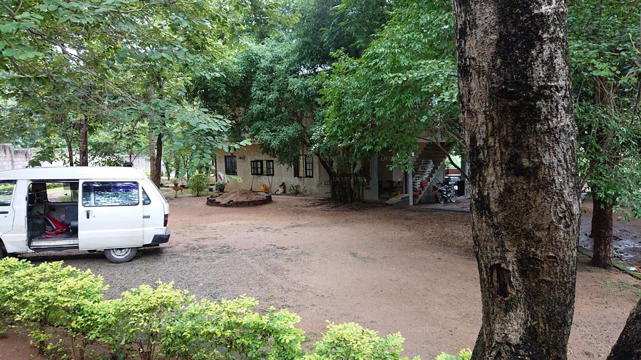 Ashane Holiday Bungalow, Wasgamuwa