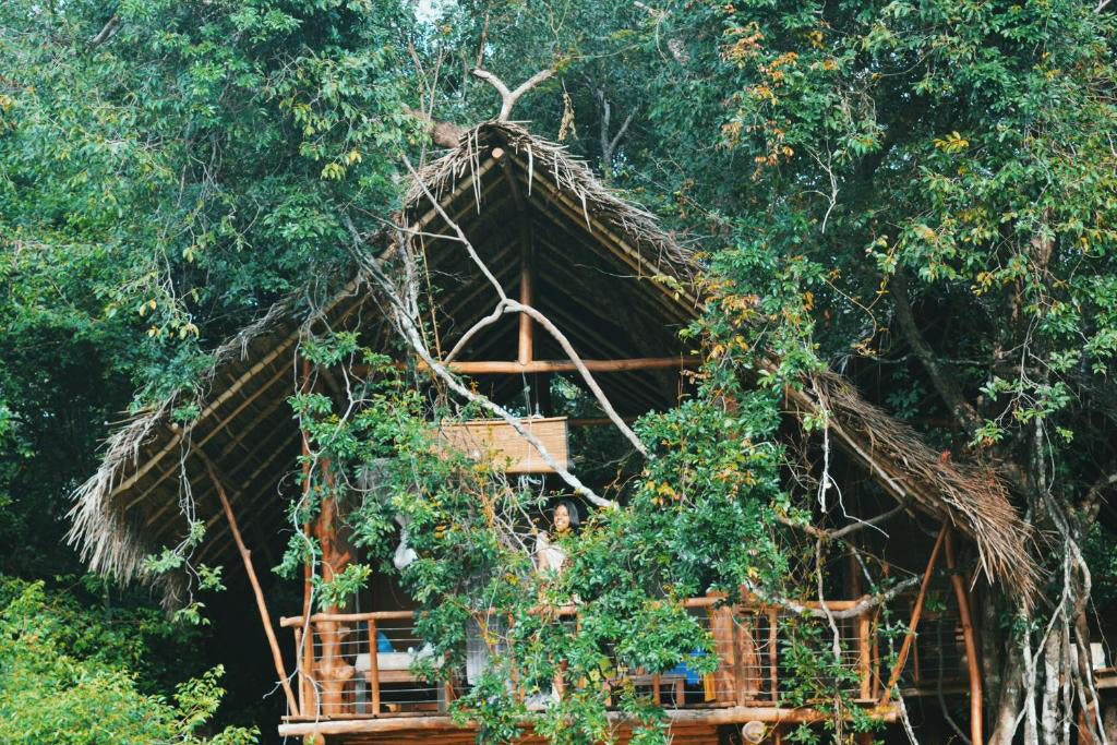 Derrière l'au-delà - Wild Haven, Dehigaha Ela, Sigiriya