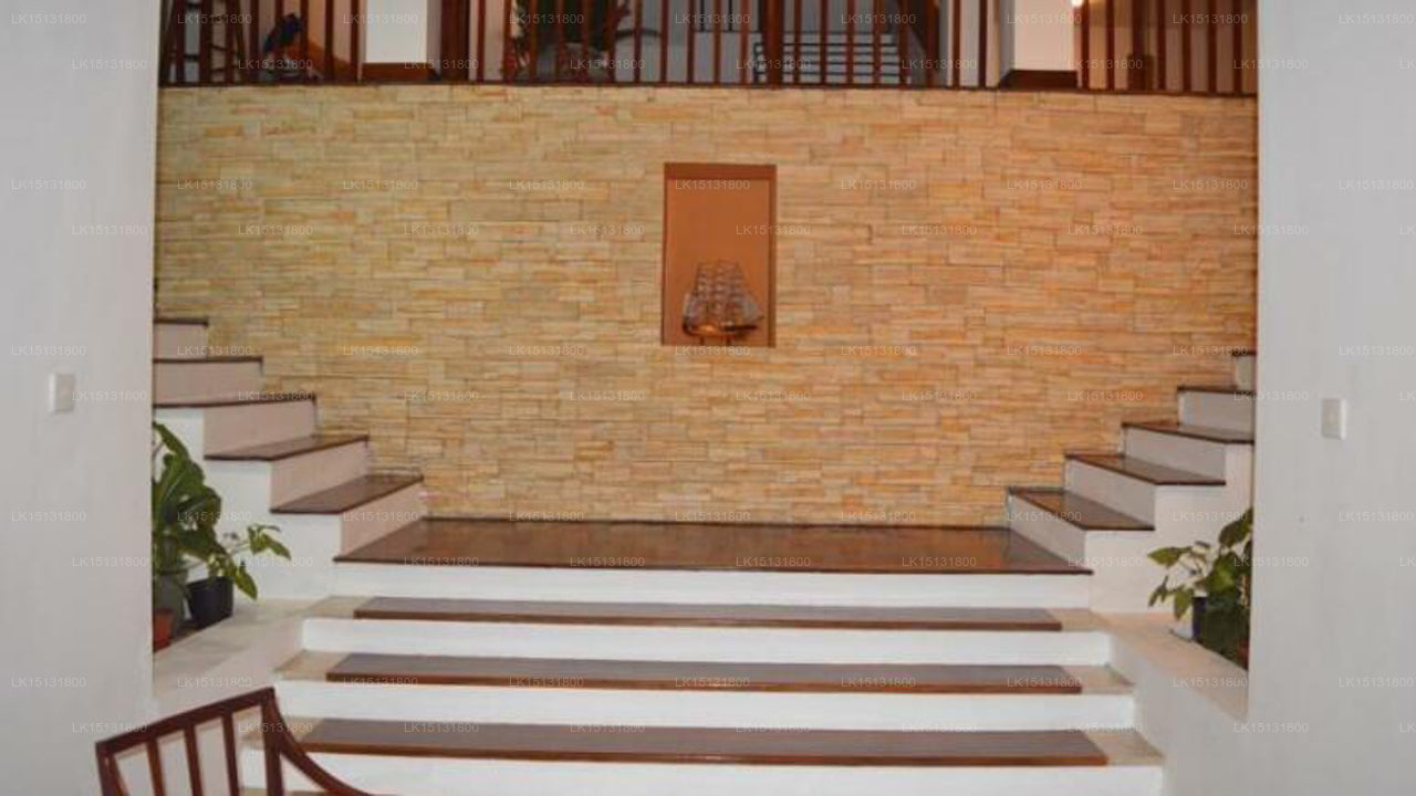 Dream Paradise, Kandy