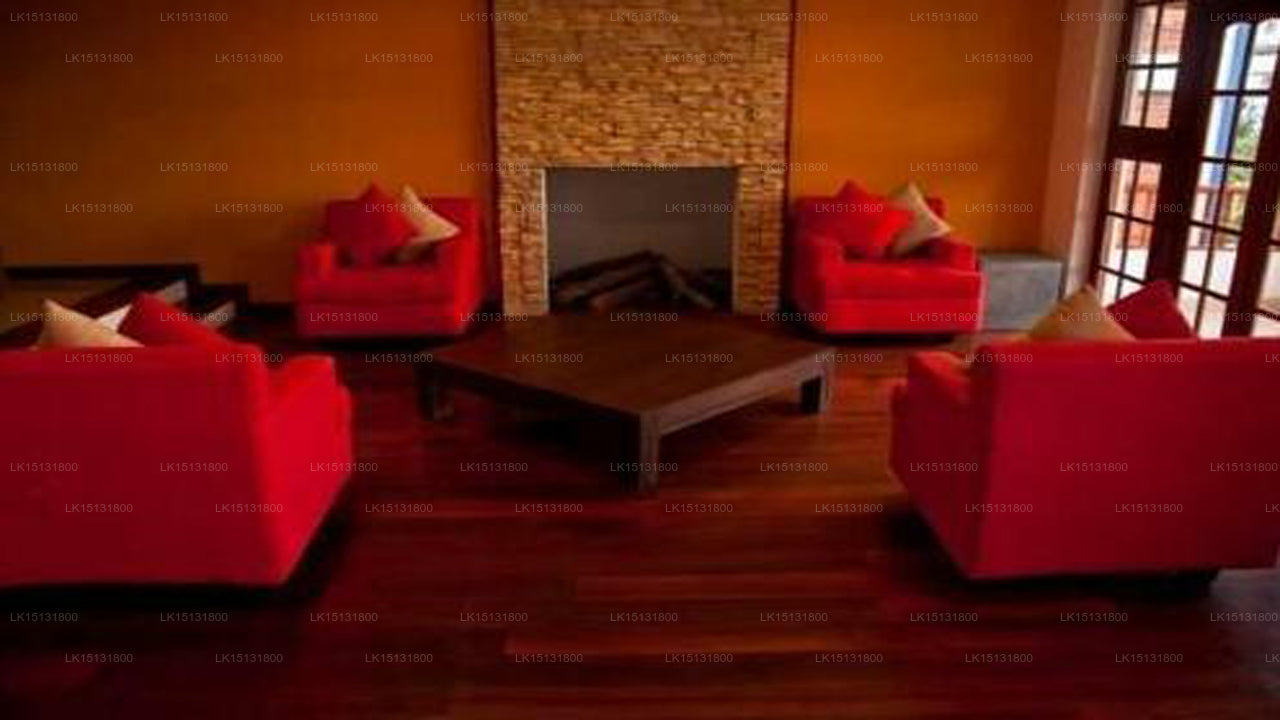 Dream Paradise, Kandy