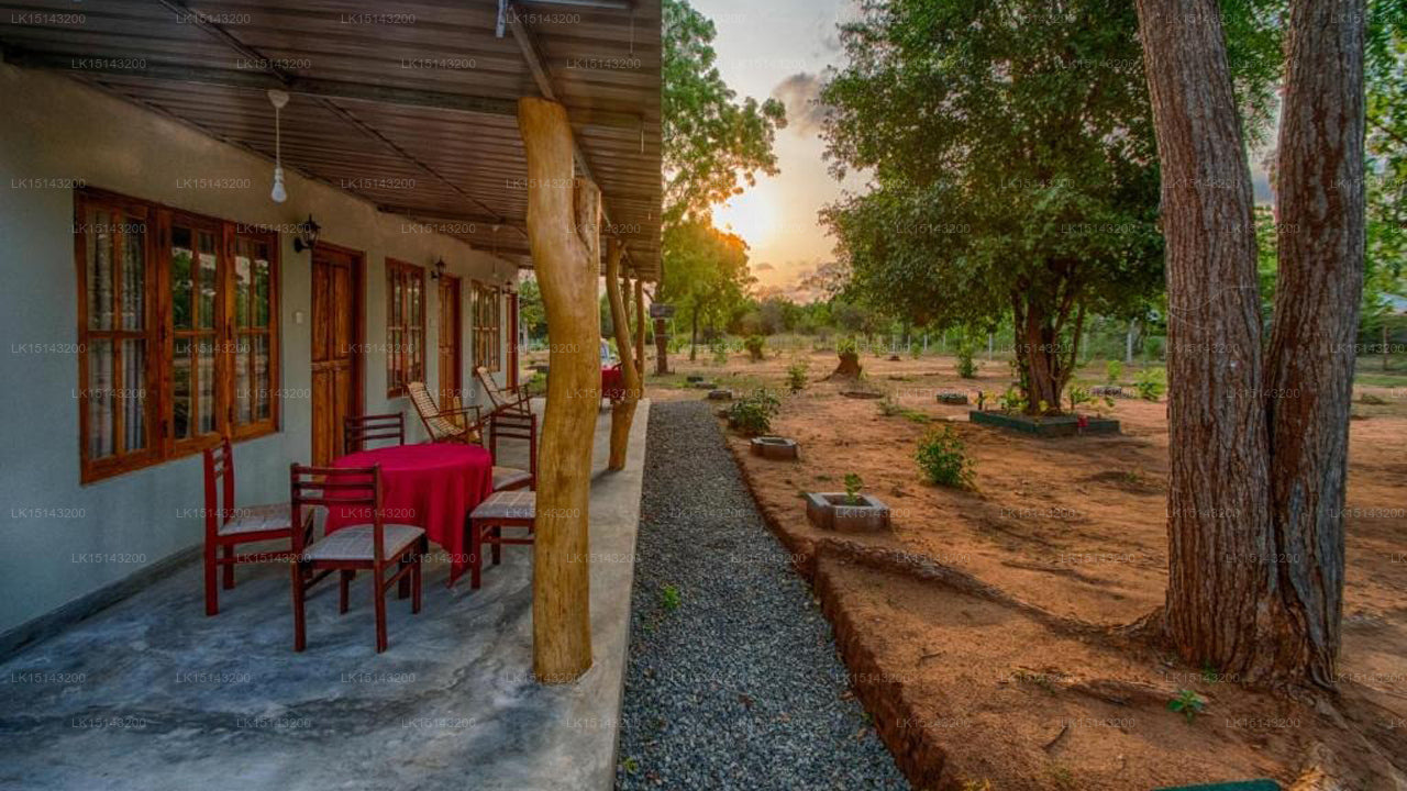 Wilpattu Holiday Home, Wilpattu