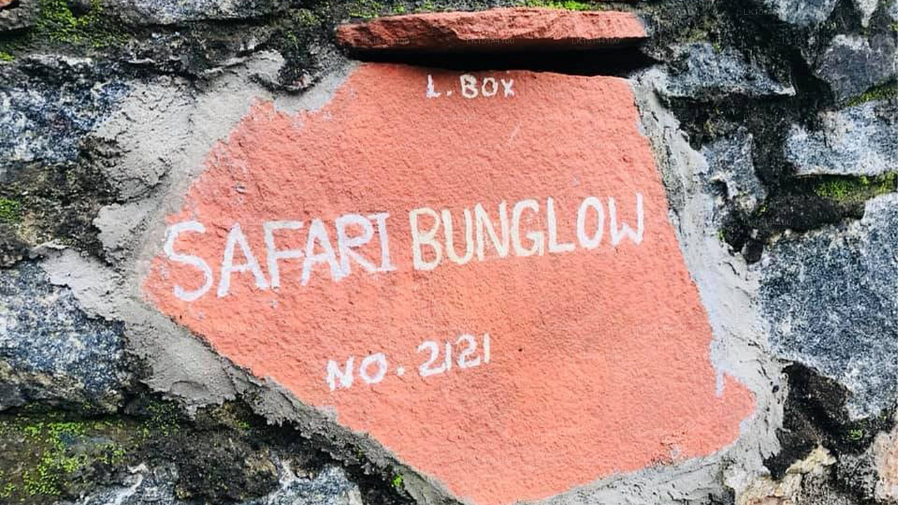 Udawalawe Safari Bungalow, Udawalawe
