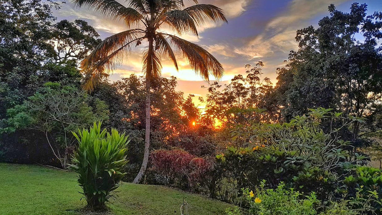 Eco Jungle Hideout, Matara