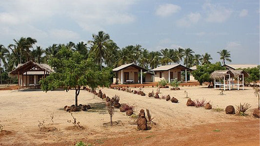 Lily Beach Cabanas, Pottuvil