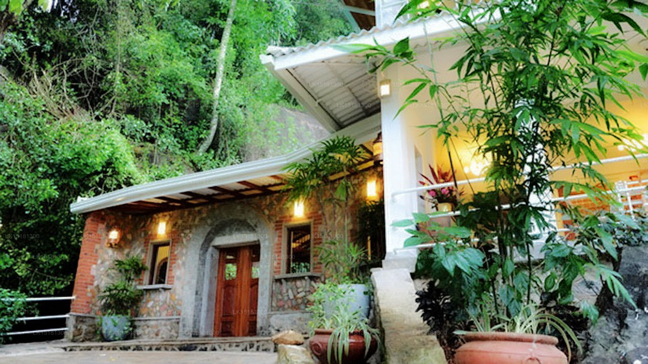 Bordure de forêt, Kitulgala