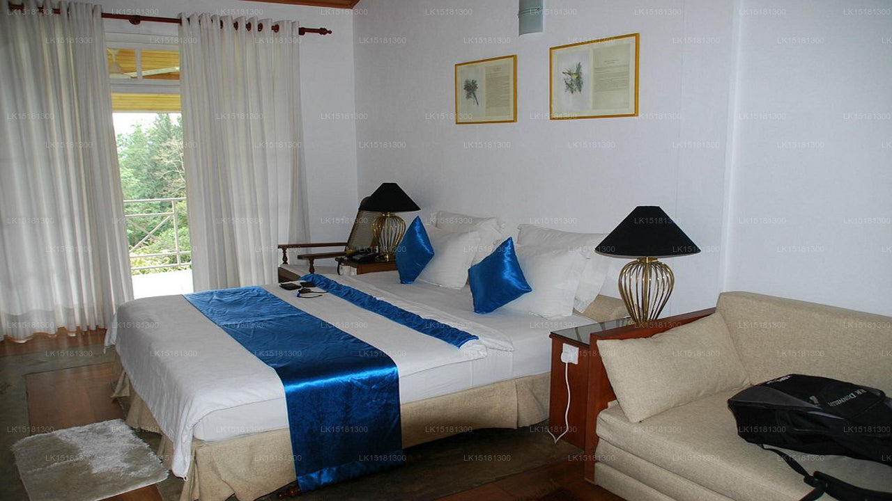 Bordure de forêt, Kitulgala