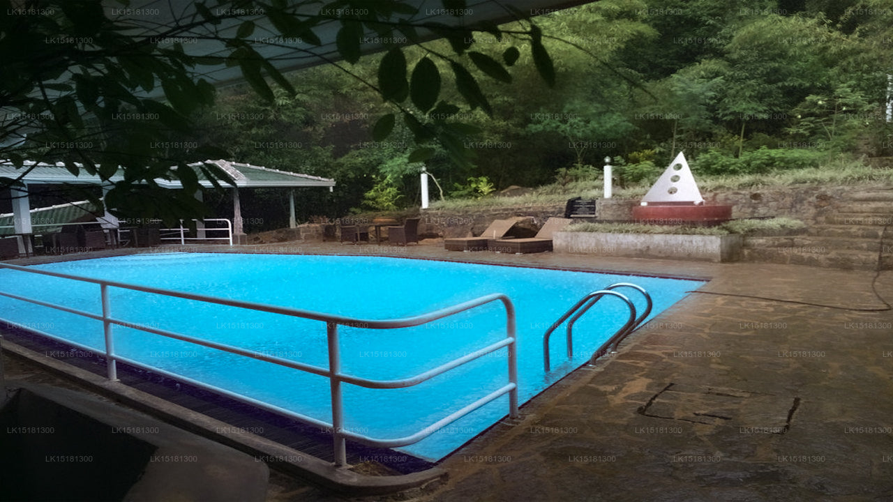 Bordure de forêt, Kitulgala