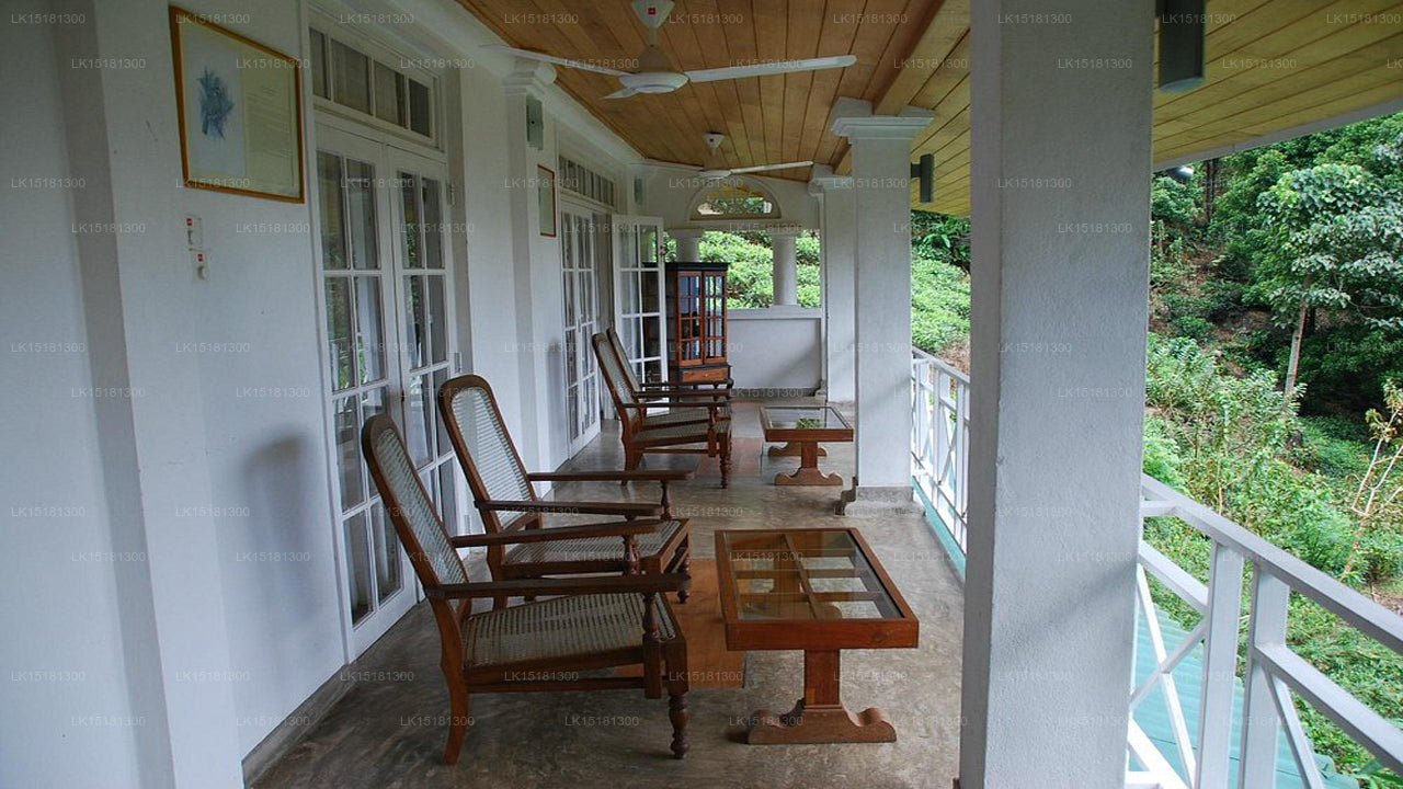 Bordure de forêt, Kitulgala