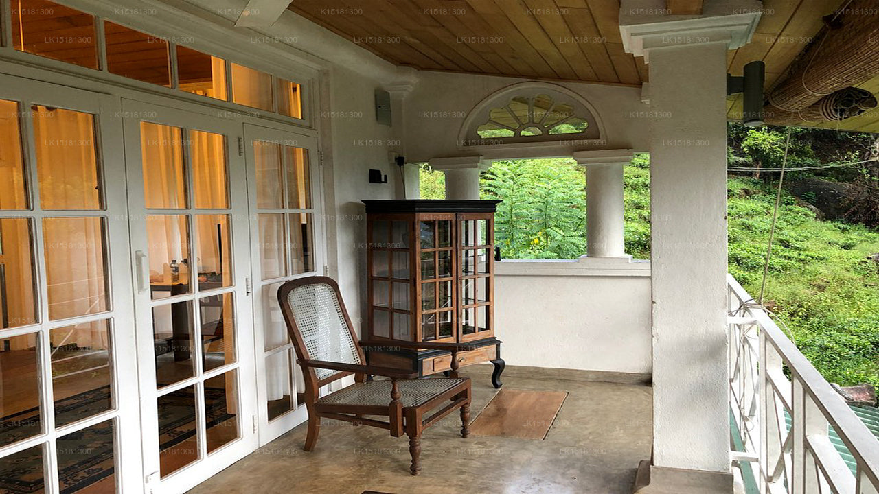 Bordure de forêt, Kitulgala