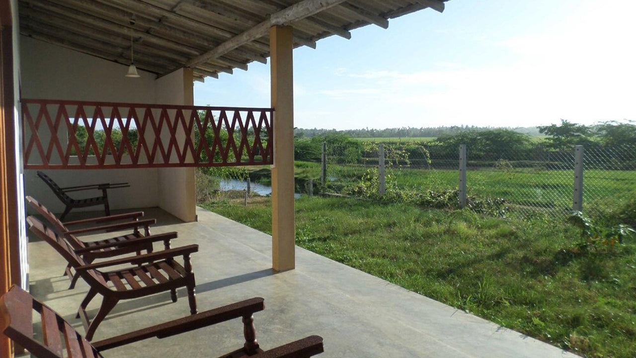 Crazy Peacock, Kirinda