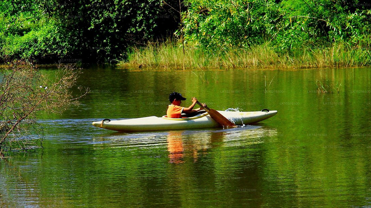 Cadjan earth, Anamaduwa