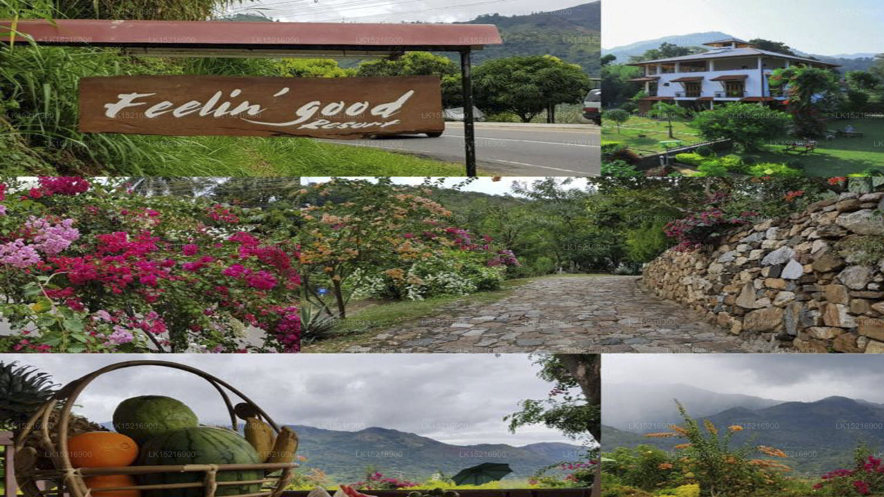 Feelin good Resort, Ella