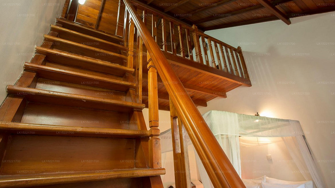 Camellia Lake Resort, Nuwara Eliya