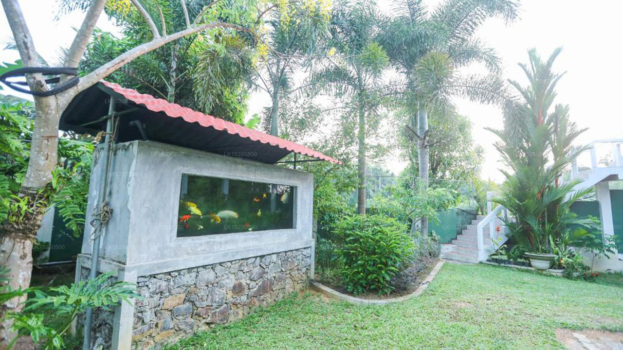 Serenity Villa, Hikkaduwa