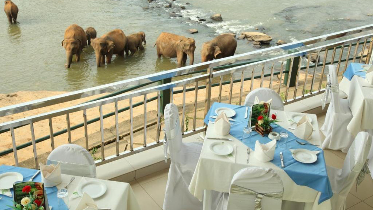 Hotel Pinnalanda, Pinnawala