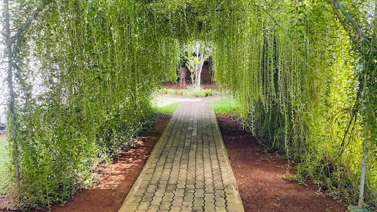 Hotel Water Nest, Kalutara